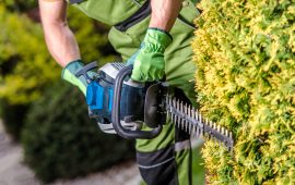 Triming Plant